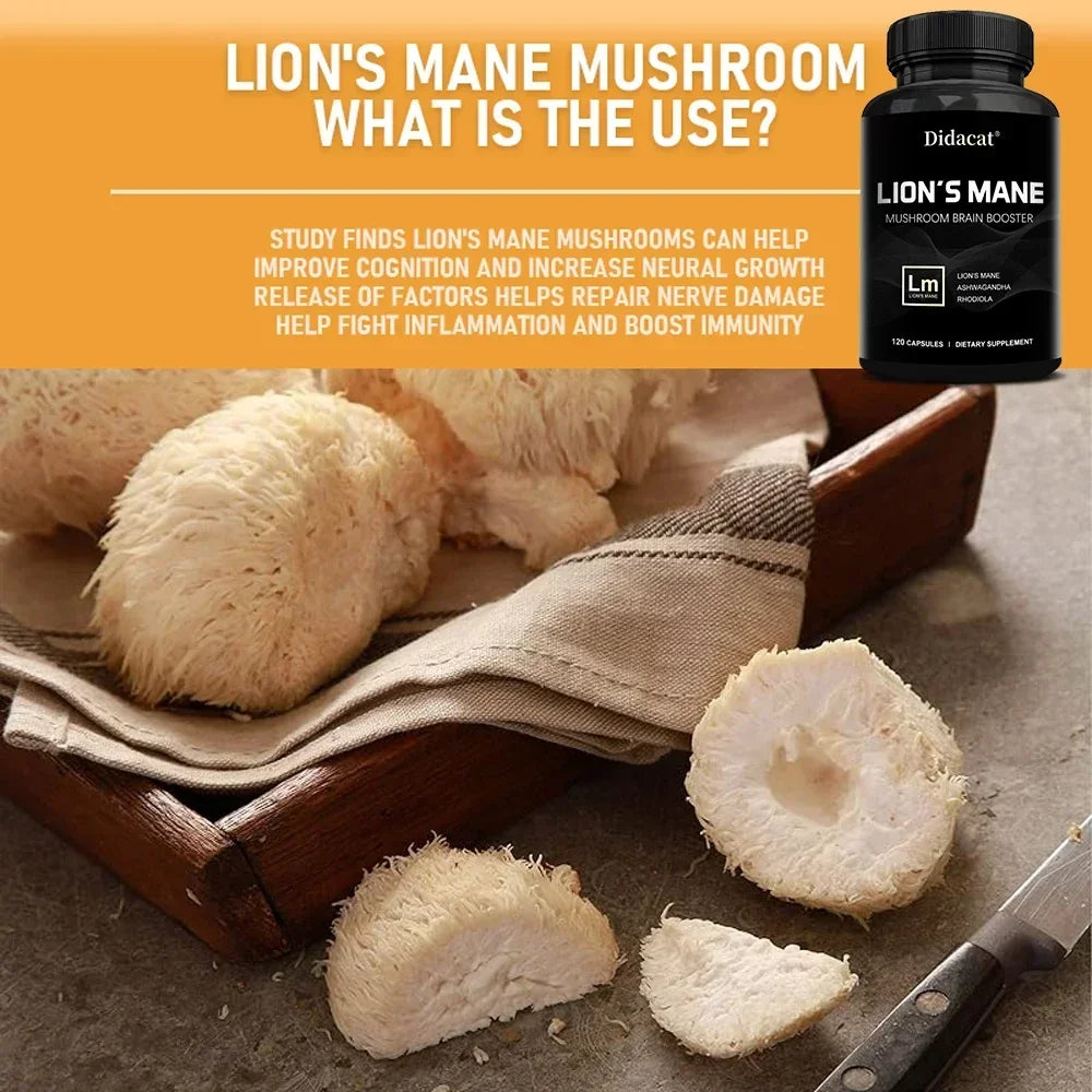 Lion's Mane Mushroom Brain Supplement - Lion's Mane, Ashwagandha, Rhodiola Rosea - Stress & Mood, Brain, Memory & Focus Immunity